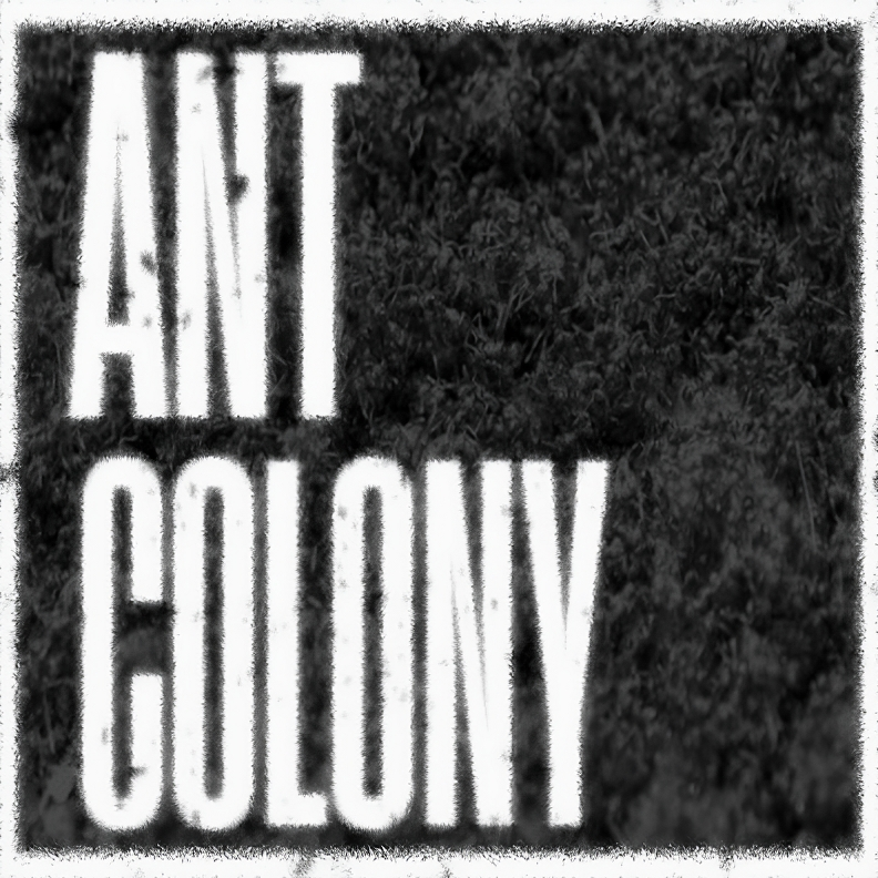 Ant Colony